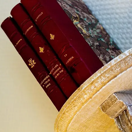 מלון De France 3*